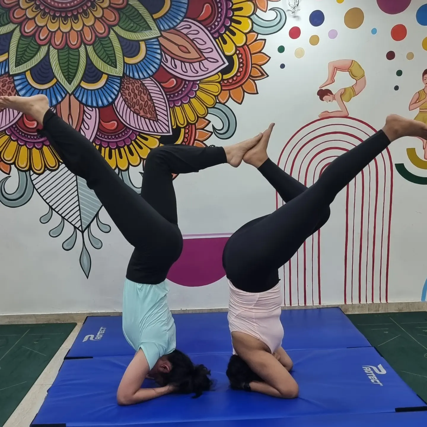 Partner inversions